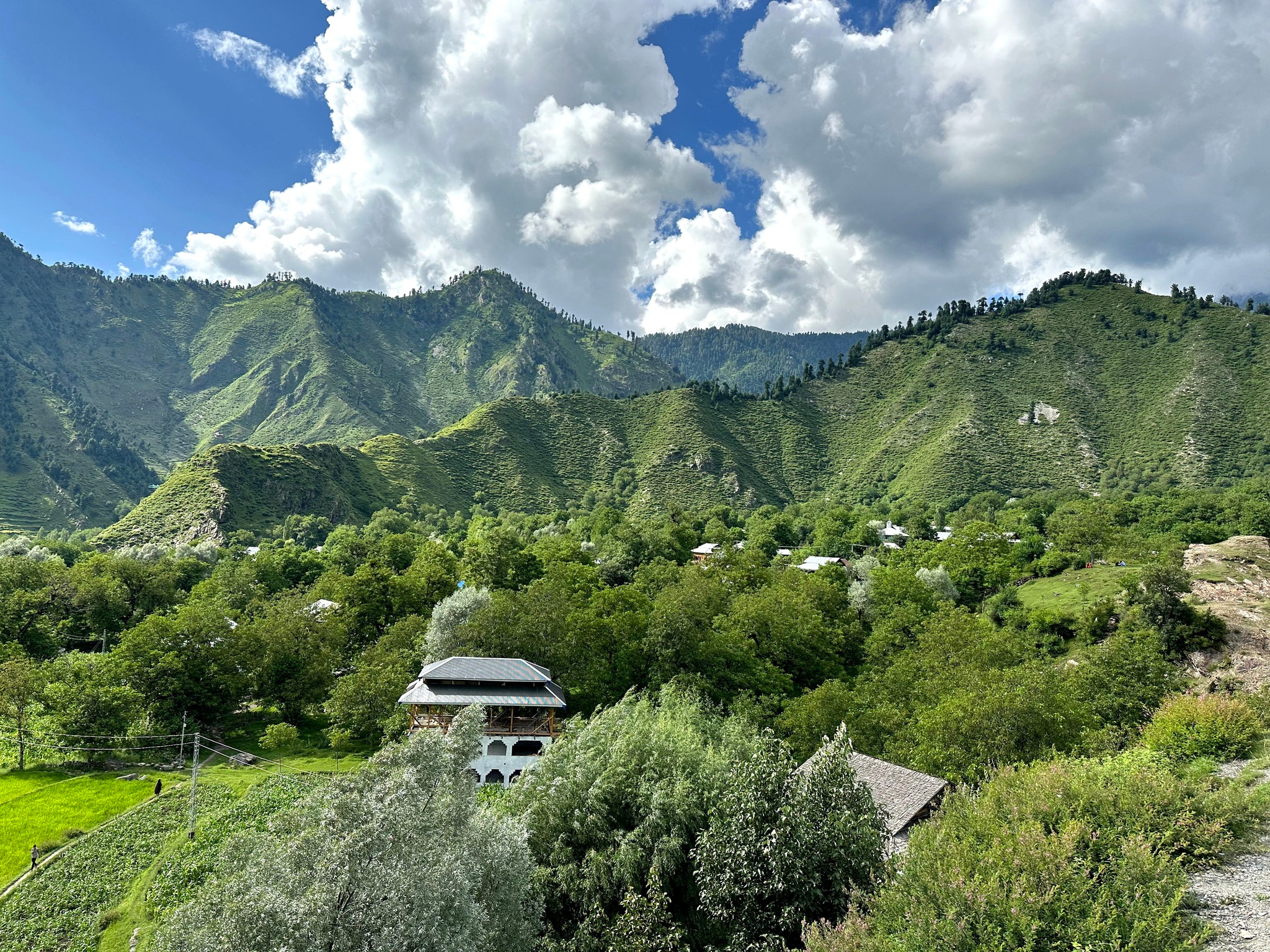 Image Alt